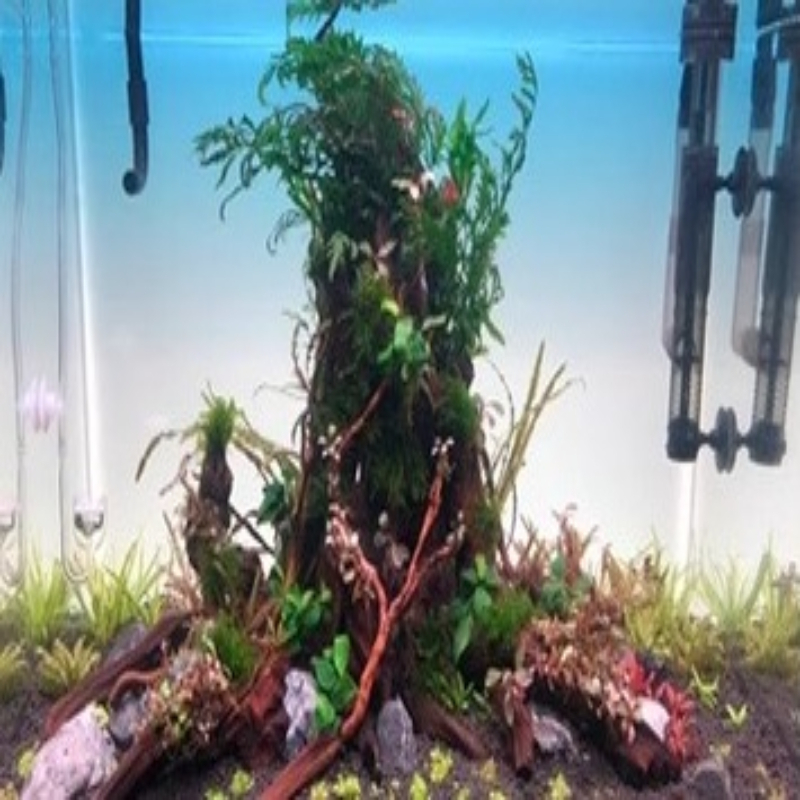 Panneau de fond d'aquarium LED - Aquarium Fish Rainbow avis et prix