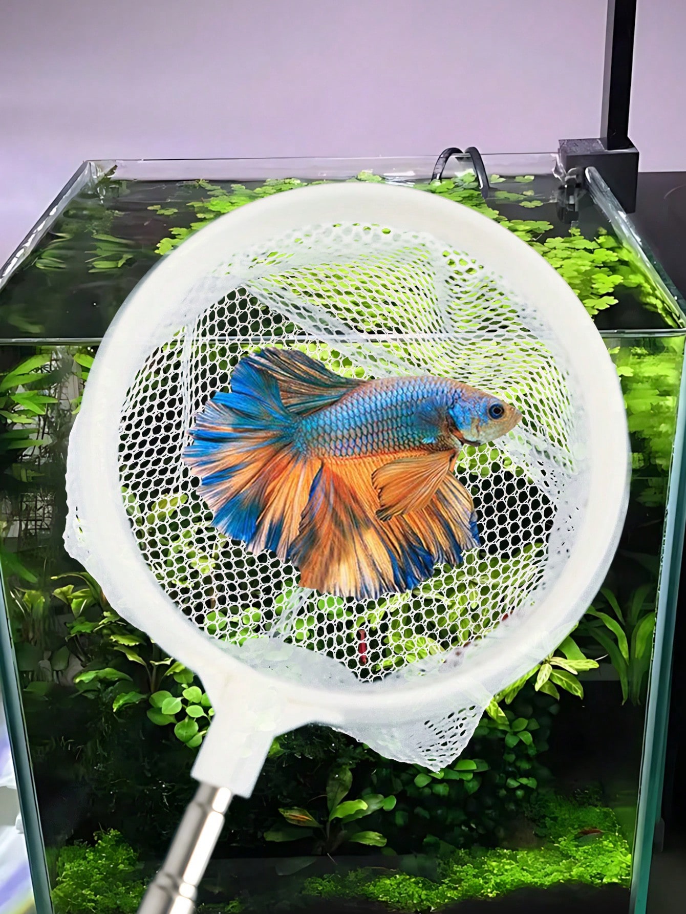 Épuisette pour poissons d'aqua - Fish Net Handle avis et prix