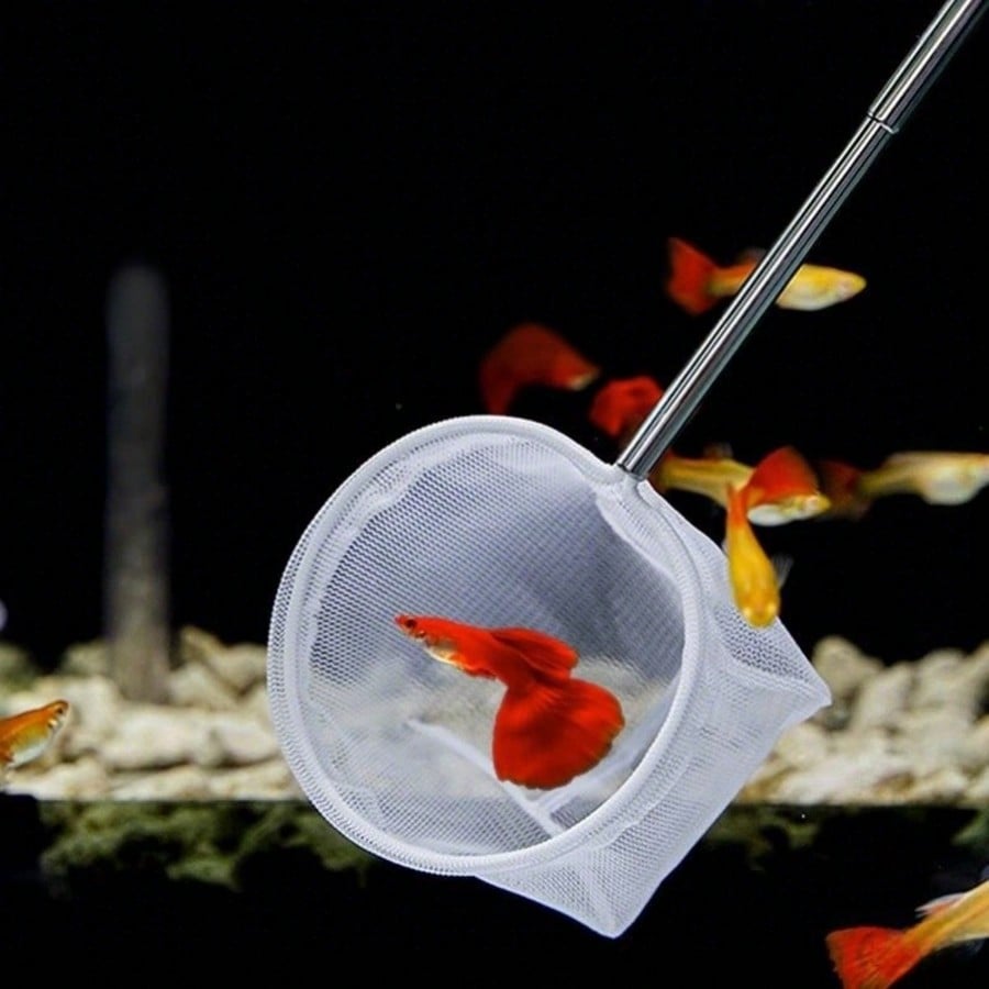 Épuisette pour poissons d'aqua - Fish Net Handle avis et prix