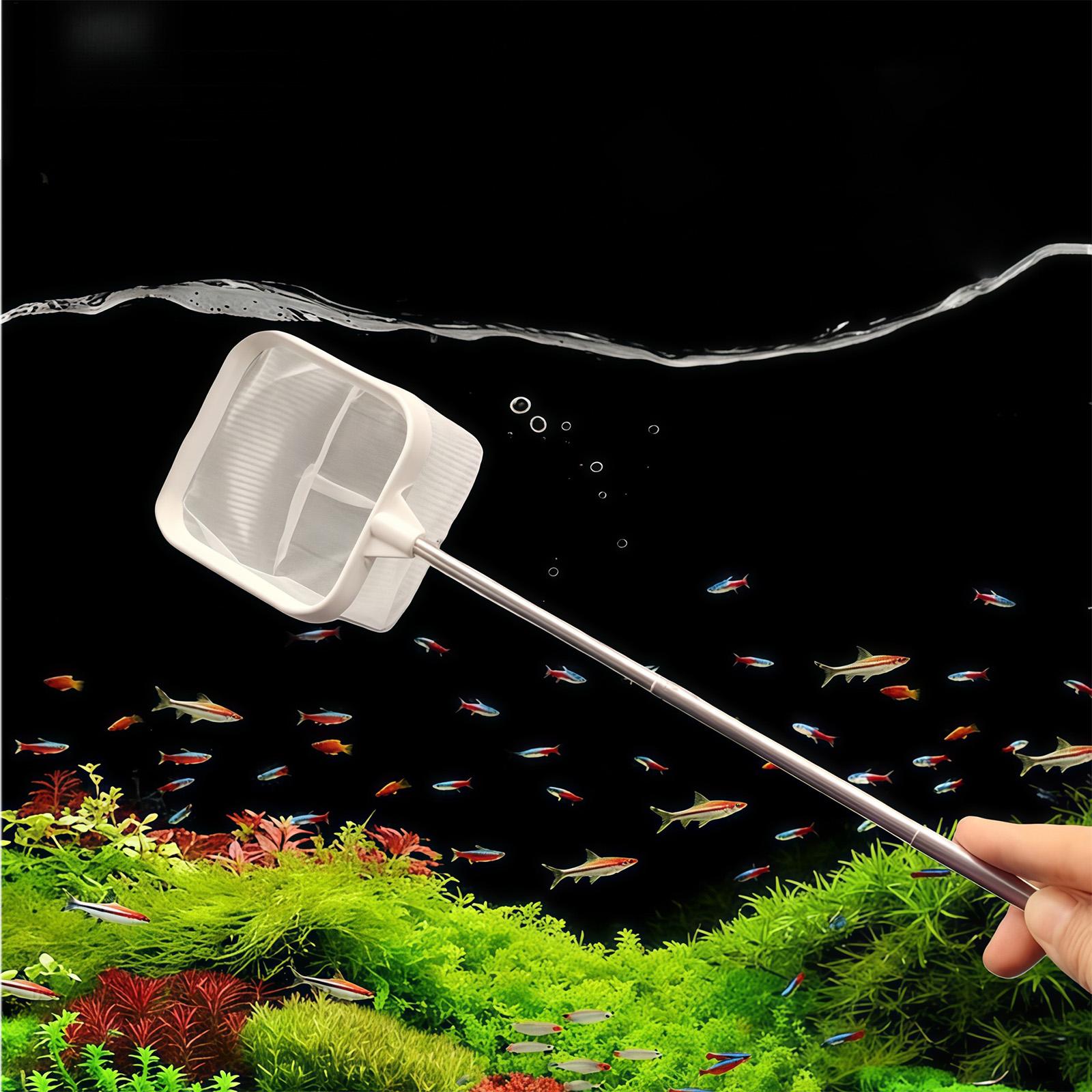 Épuisette à long manche extens - Fish Net Handle avis et prix