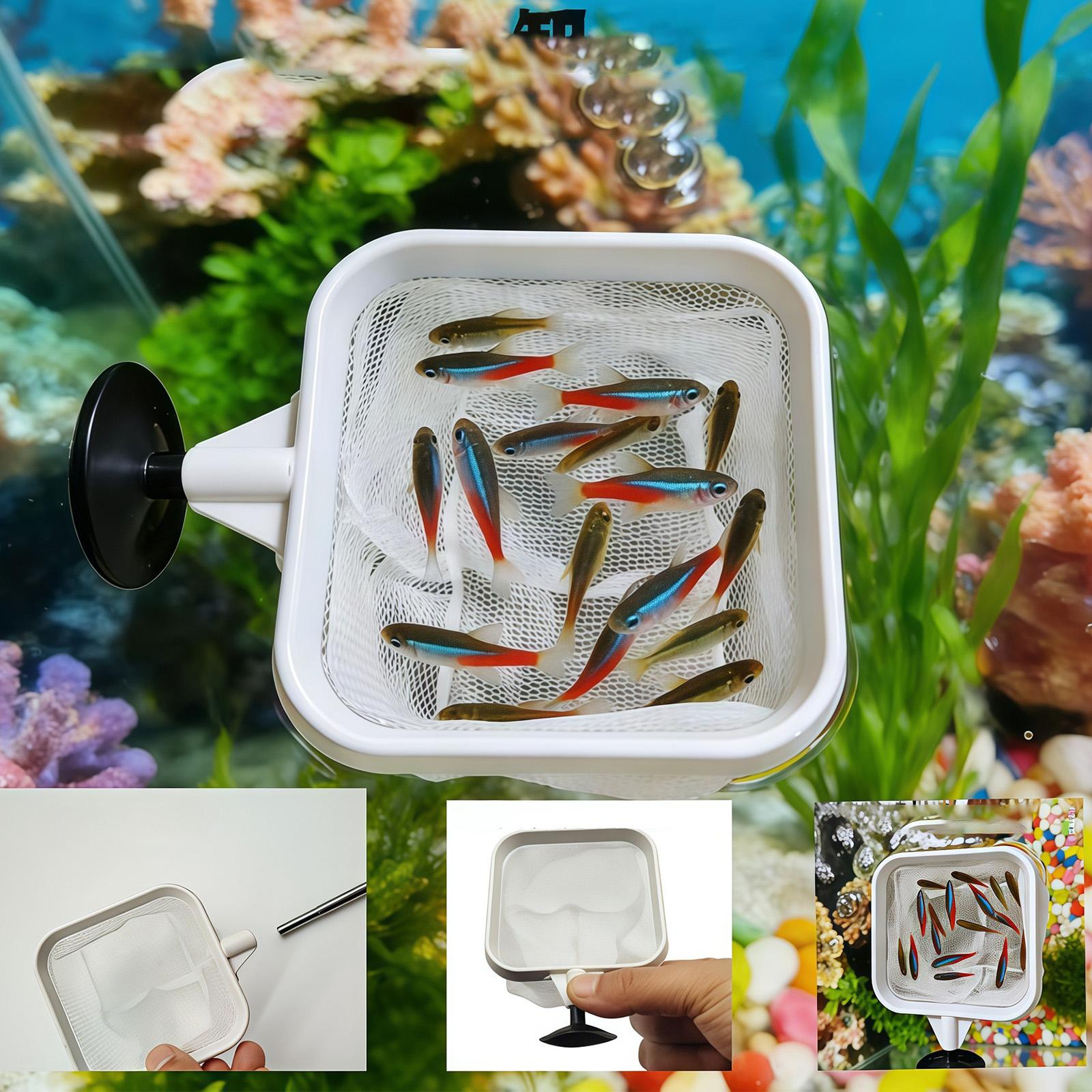 Épuisette à long manche extens - Fish Net Handle avis et prix