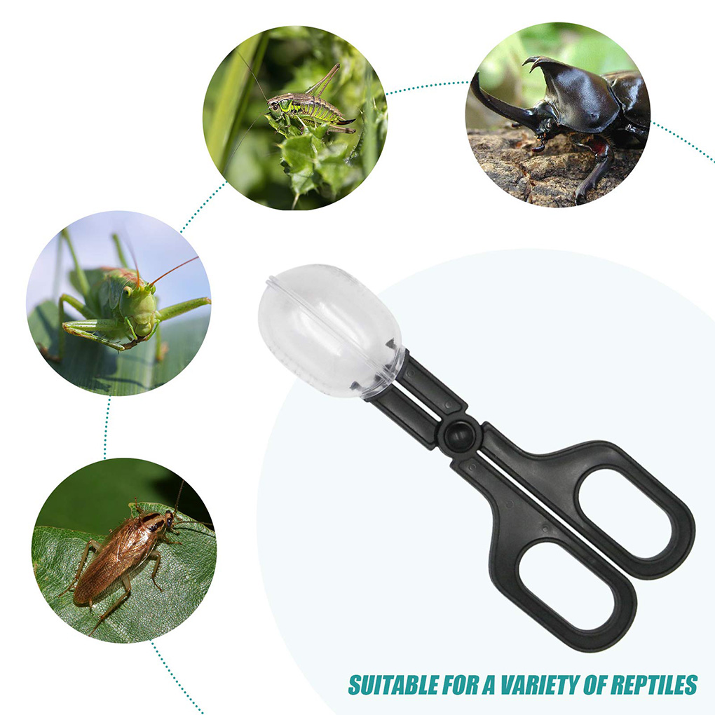 Ciseaux attrape-insectes trans - Aquarium Fish Trap avis et prix