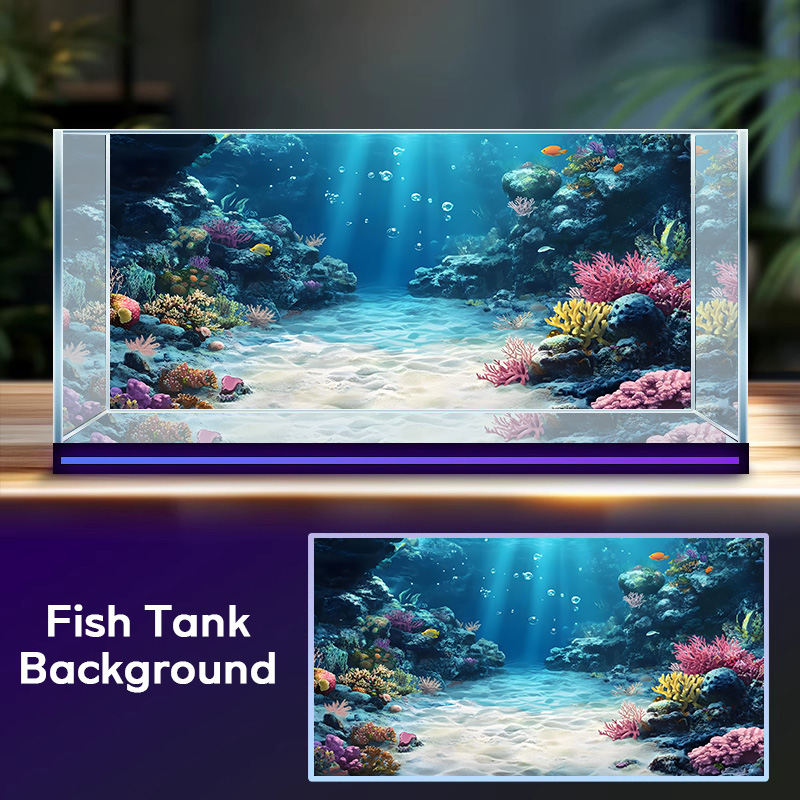 Récif corallien arc-en-ciel, p - Aquarium Fish Rainbow avis et prix