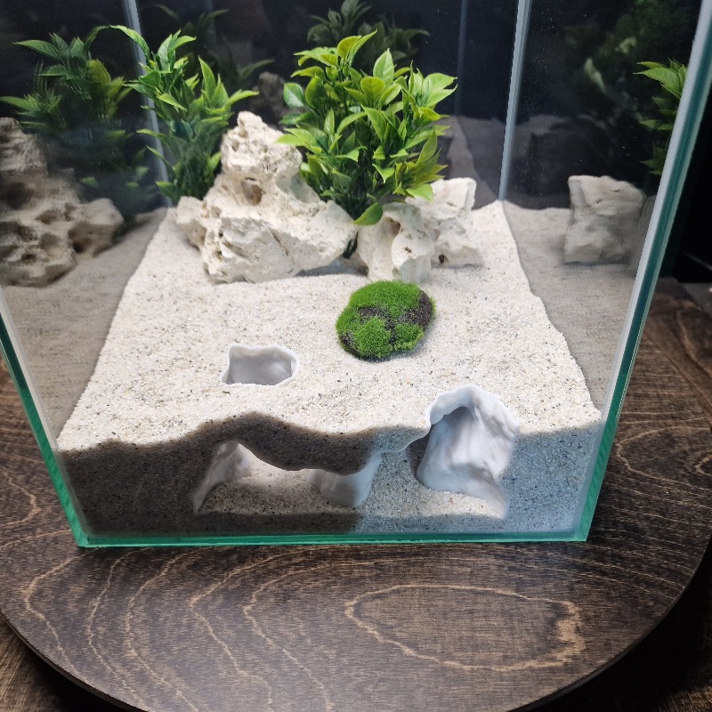Décoration Premium pour Aquari - Aquarium Fish Hide avis et prix