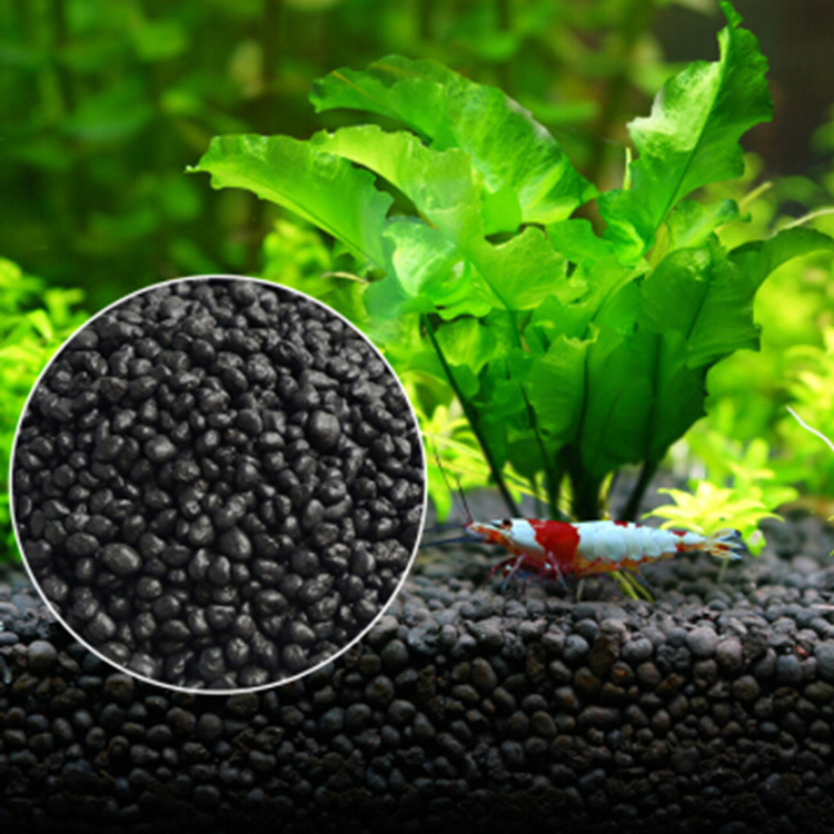 Sol de graines de plantes d'aq - Aquarium Fish Gallery avis et prix
