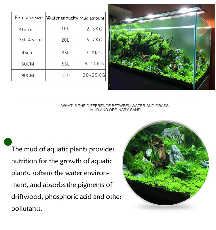 Sol de graines de plantes d'aq - Aquarium Fish Gallery avis et prix