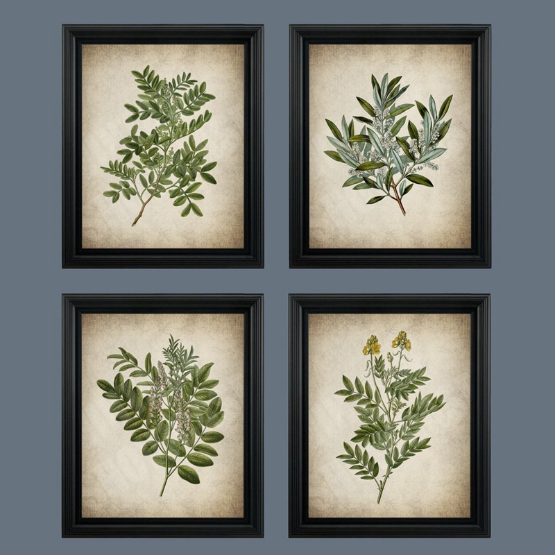 Affiche botanique vintage du c - Live Plant Fertilizer avis et prix