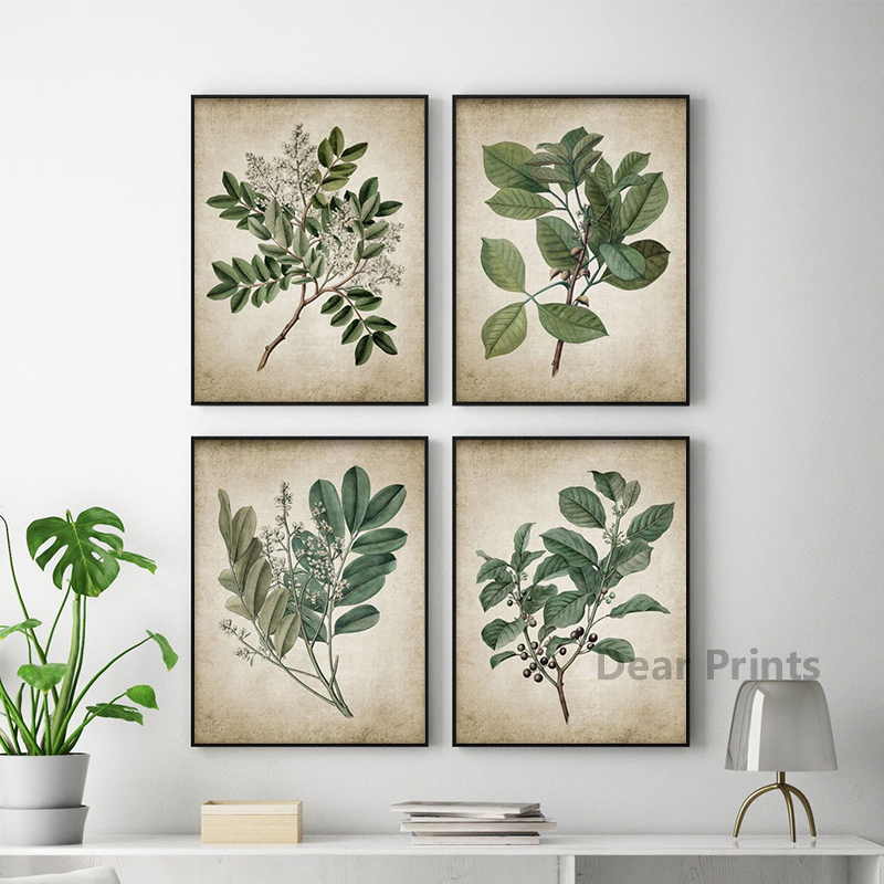 Affiche botanique vintage du c - Live Plant Fertilizer avis et prix