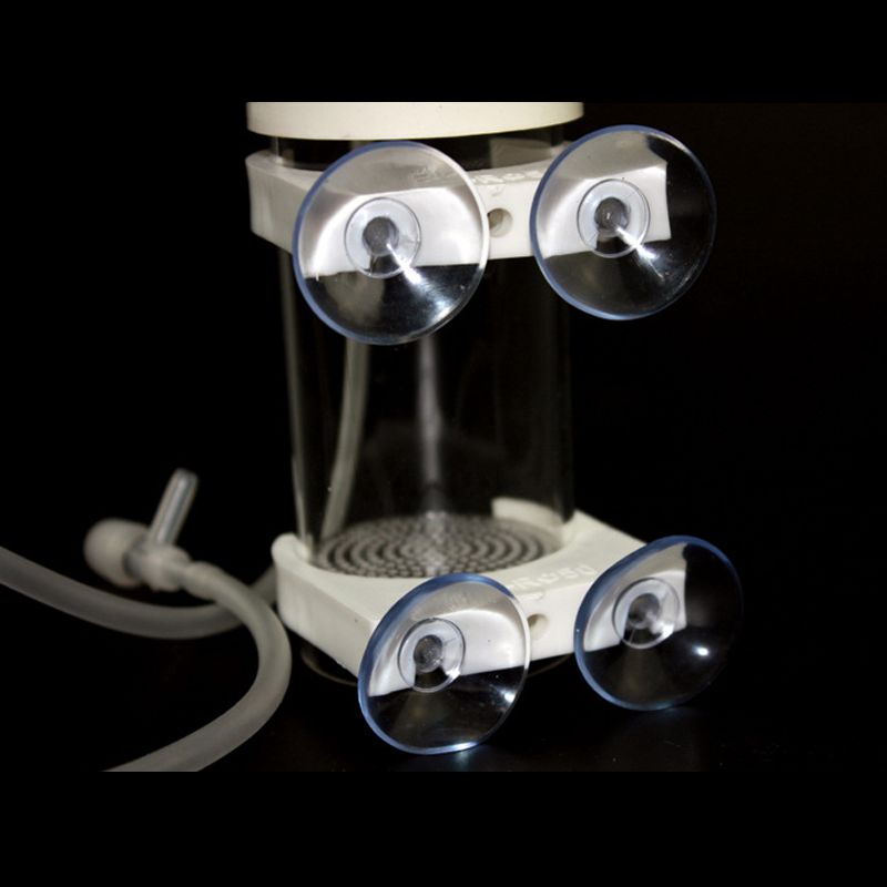 Incubateur pour œufs de cichli - Aquarium Fish Eggs avis et prix