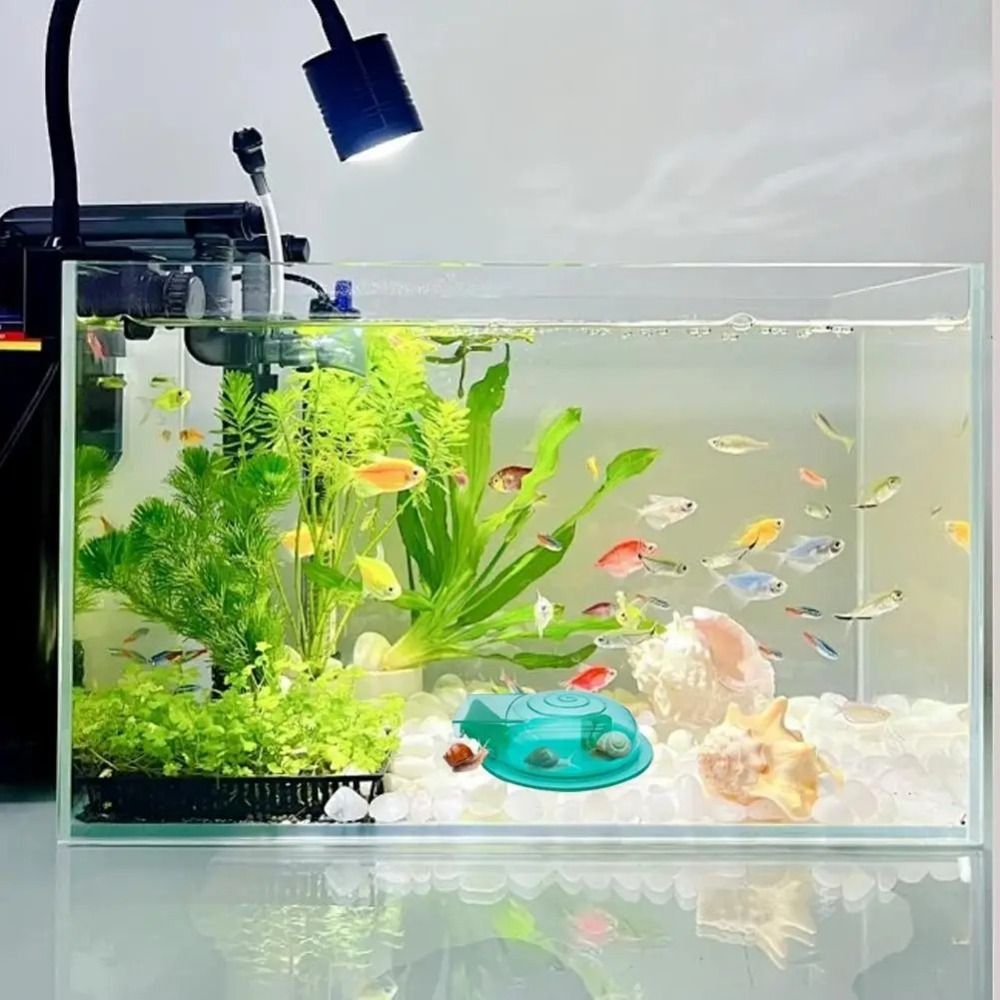 Piège à escargots pour aquariu - Aquarium Fish Trap avis et prix