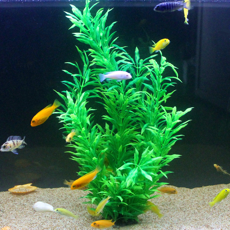 Plantes artificielles pour aqu - Aquarium Fish Gallery avis et prix