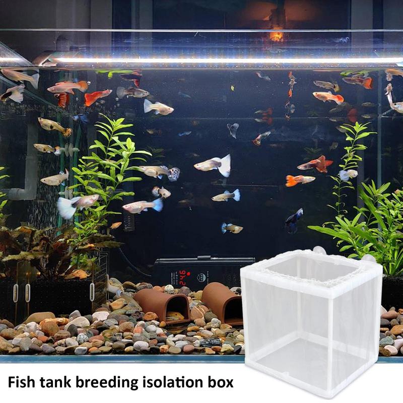 Boîte d'élevage de poissons av - Aquarium Fish Trap avis et prix