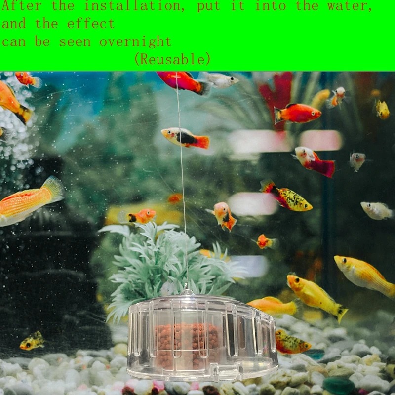 Piège à escargots en plastique - Aquarium Fish Trap avis et prix