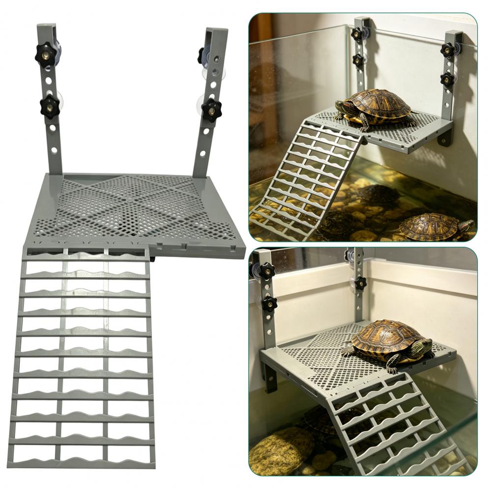 Décoration d'aquarium, platefo - Aquarium Fish Gallery avis et prix