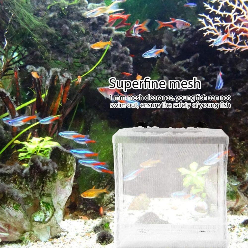 Boîte d'isolation d'éclosion p - Aquarium Fish Trap avis et prix