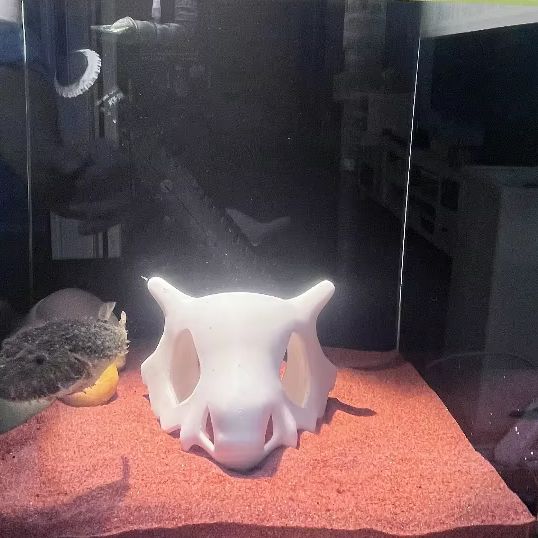 Pêche imprimée en 3D crevettes - Aquarium Fish Hide avis et prix