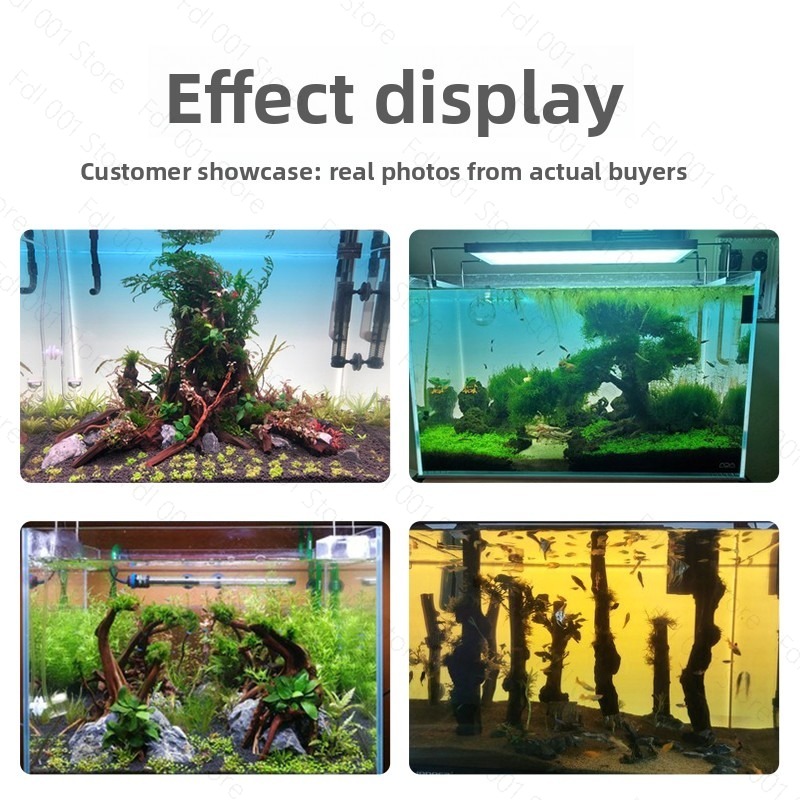Panneau de fond pour aquarium  - Aquarium Fish Rainbow avis et prix
